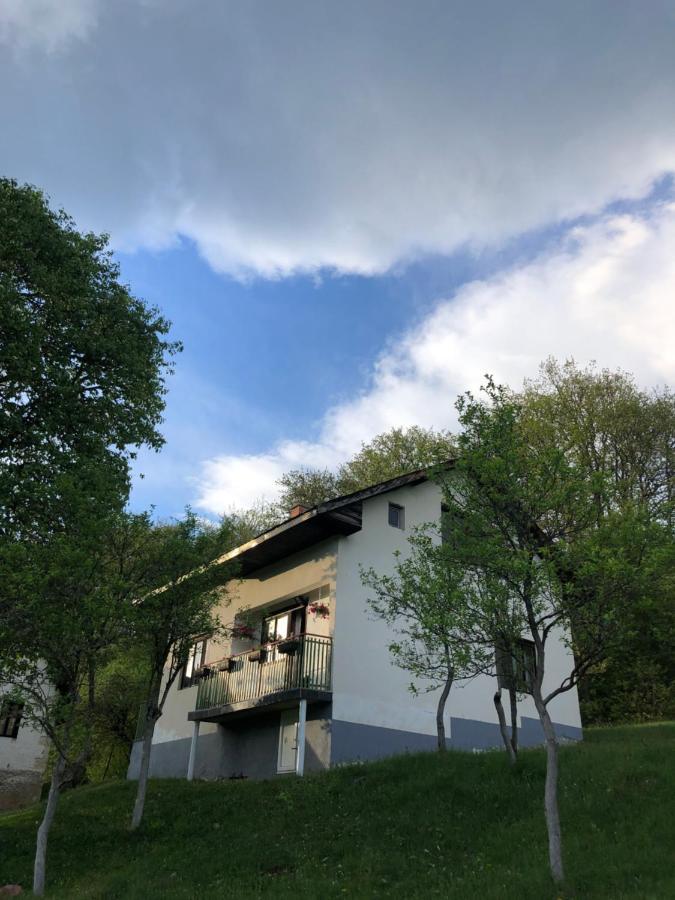 Etno Kuca Milidrag Villa Foca Luaran gambar