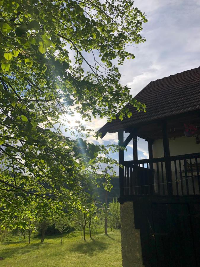 Etno Kuca Milidrag Villa Foca Luaran gambar