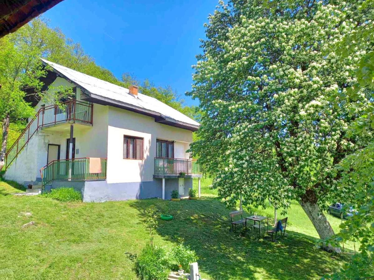 Etno Kuca Milidrag Villa Foca Luaran gambar